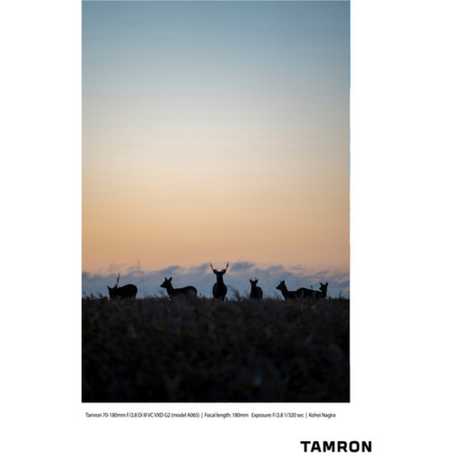 Tamron 70-180mm f/2.8 Di III VC VXD G2 Lens (Sony E)