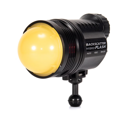 Backscatter Hybrid Flash 4500K 160° Warm Dome Diffuser