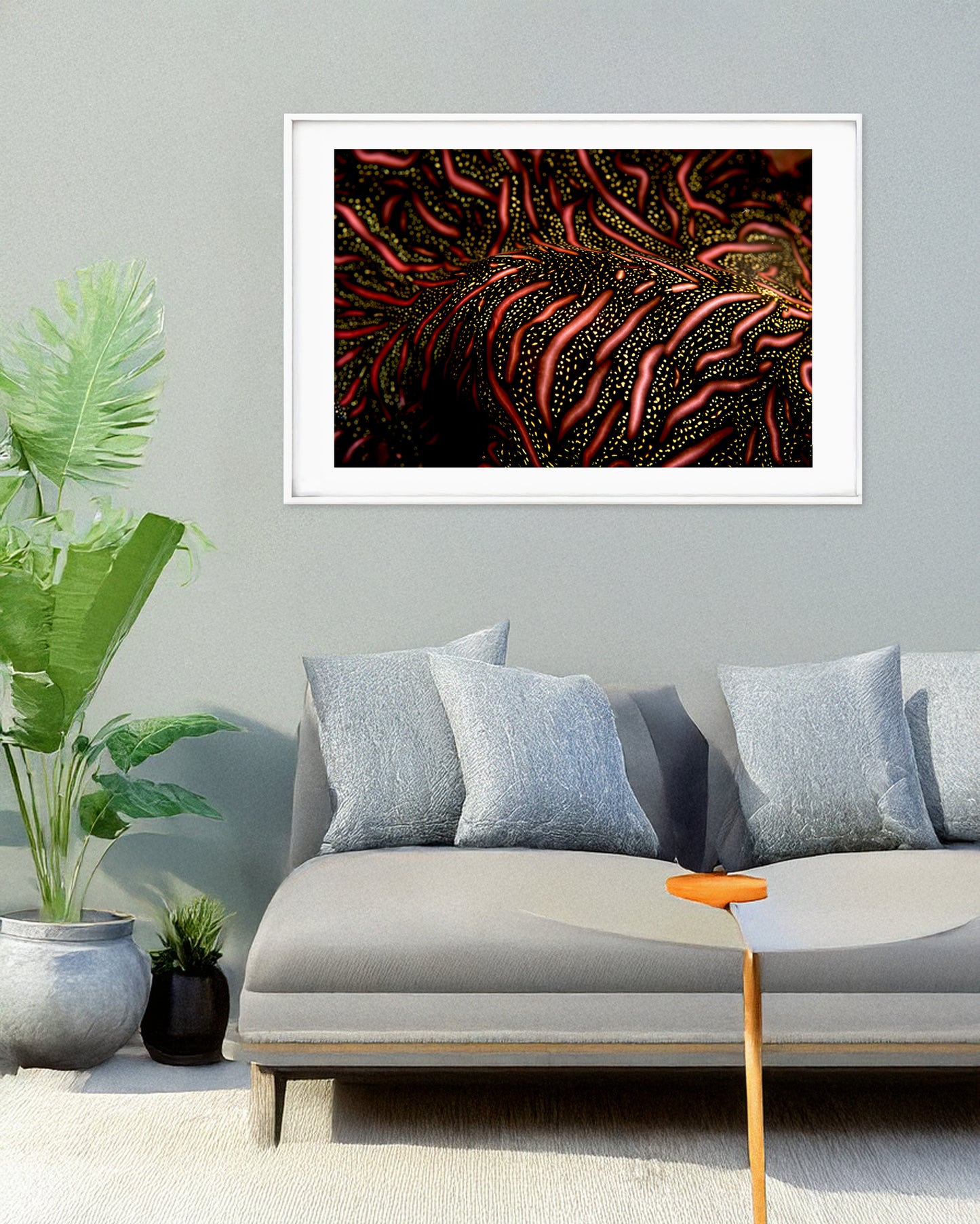 Persian Carpet Flatworm