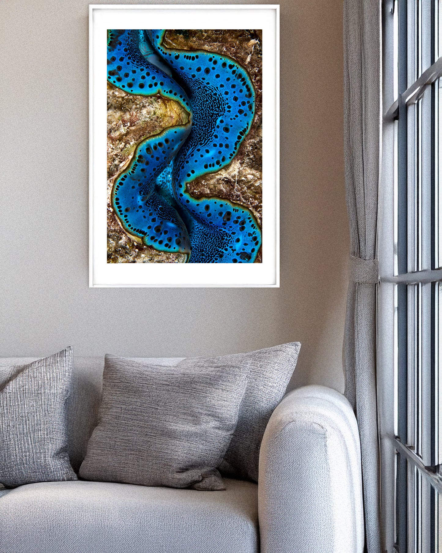 Giant Clam Portrait