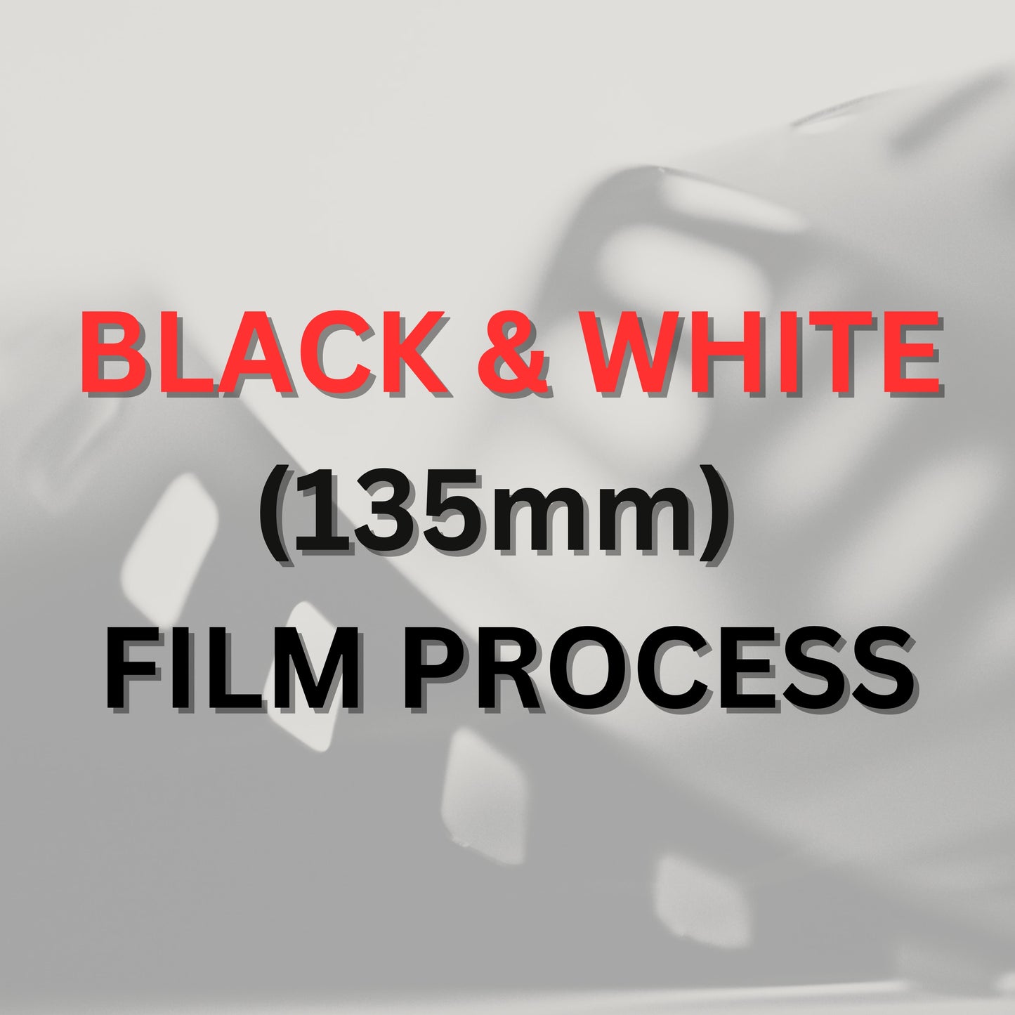 Film Processing Fee