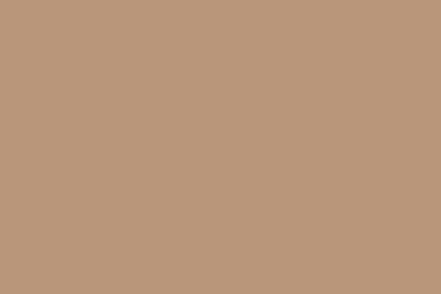 Backdrop Seamless Paper 2.72x10 meters No.25 (Beige)