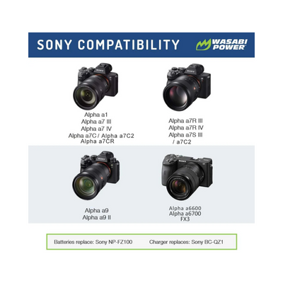 Wasabi NP-FZ100 2 Batteries w/ Charger for Sony Camera