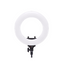 14" Ring Light R-40B AC