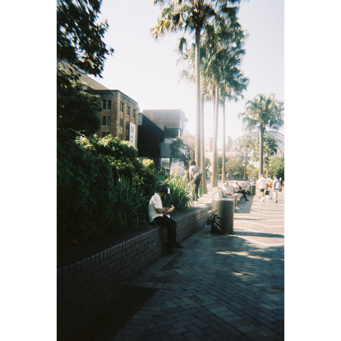FilmNeverDie ZATSU 400 Colour Negative Film (35mm, 36 exp.)