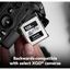 Lexar Professional CFexpress Type B Card SILVER Series, Up to 1750MB/s Read, 1300MB/s Write