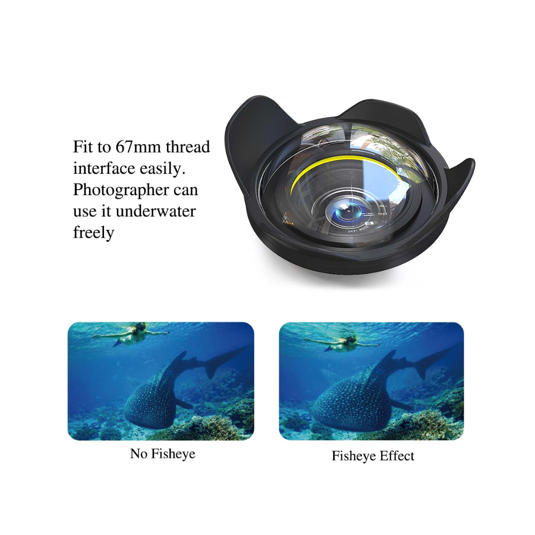 Seafrog Optical Fisheye Lens Shade ( 6'' )