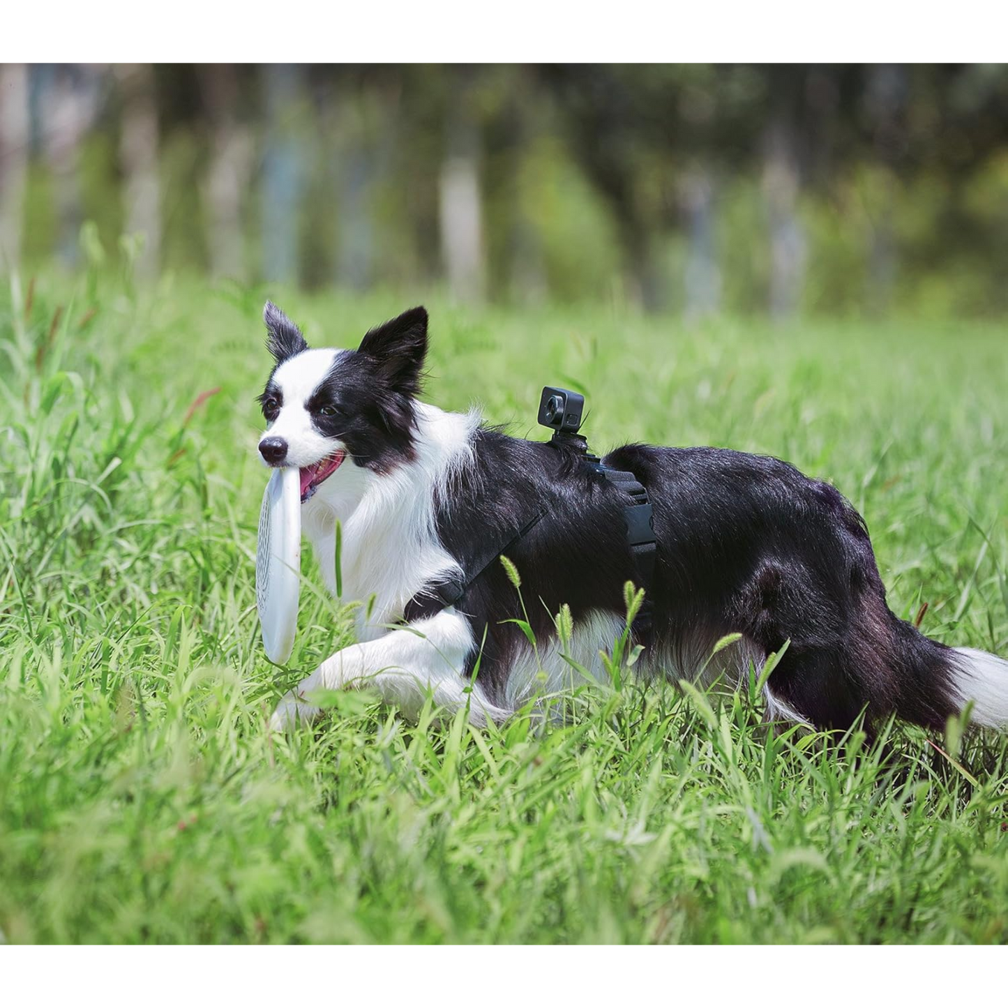 Xiaomi Mi Action Camera 4K