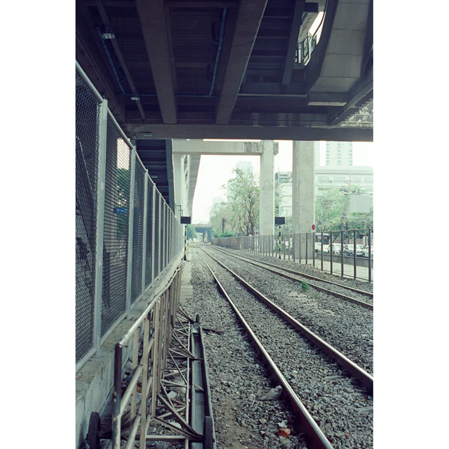 FilmNeverDie SUIBO 500T (35mm, 36 exp.)