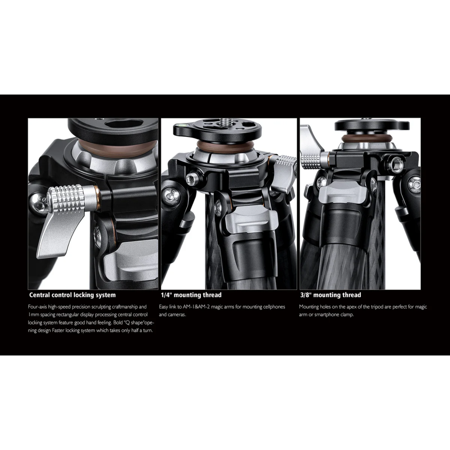 Leofoto LO-284C Tripod with Built-in Hollow Ball & Bag