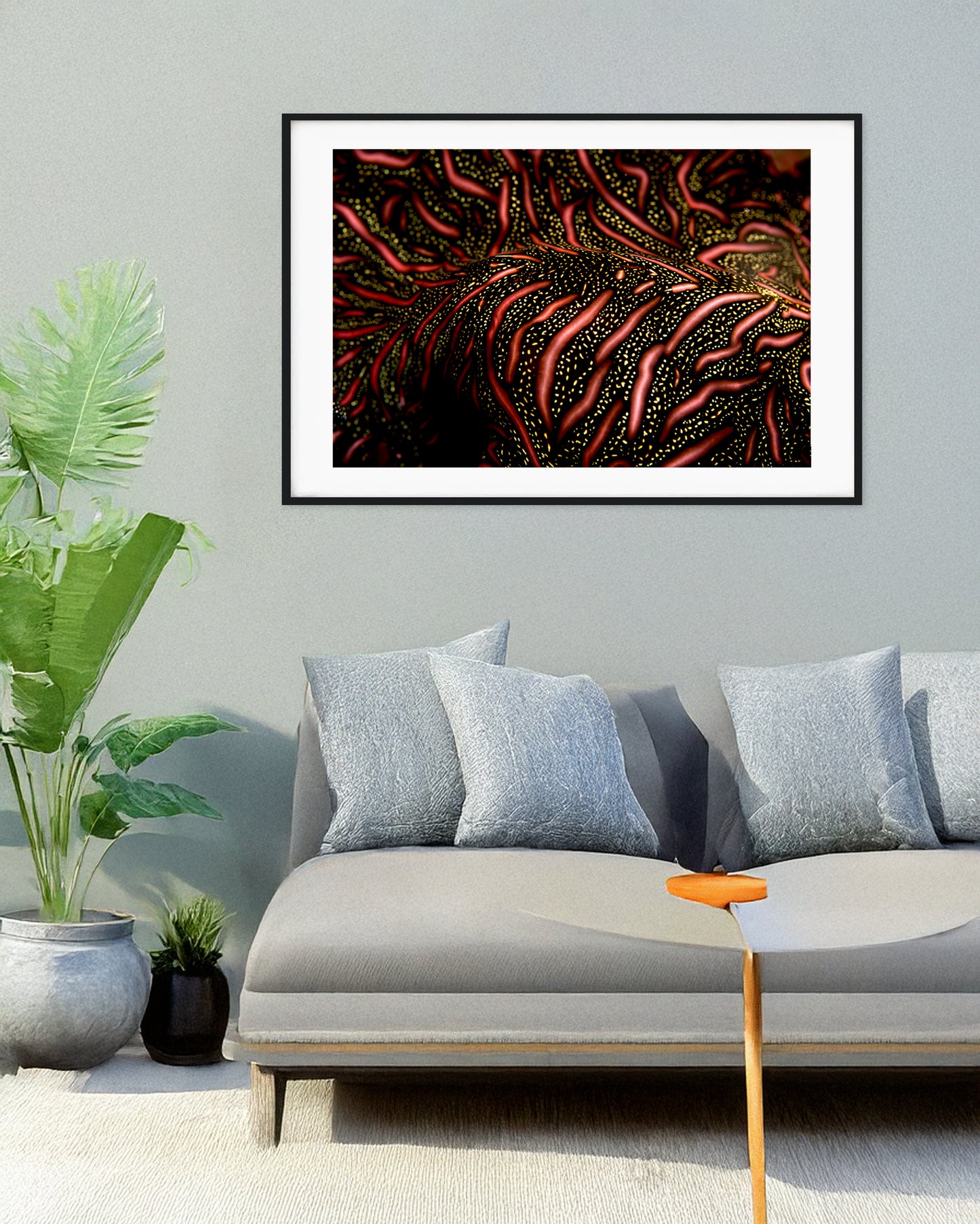 Persian Carpet Flatworm