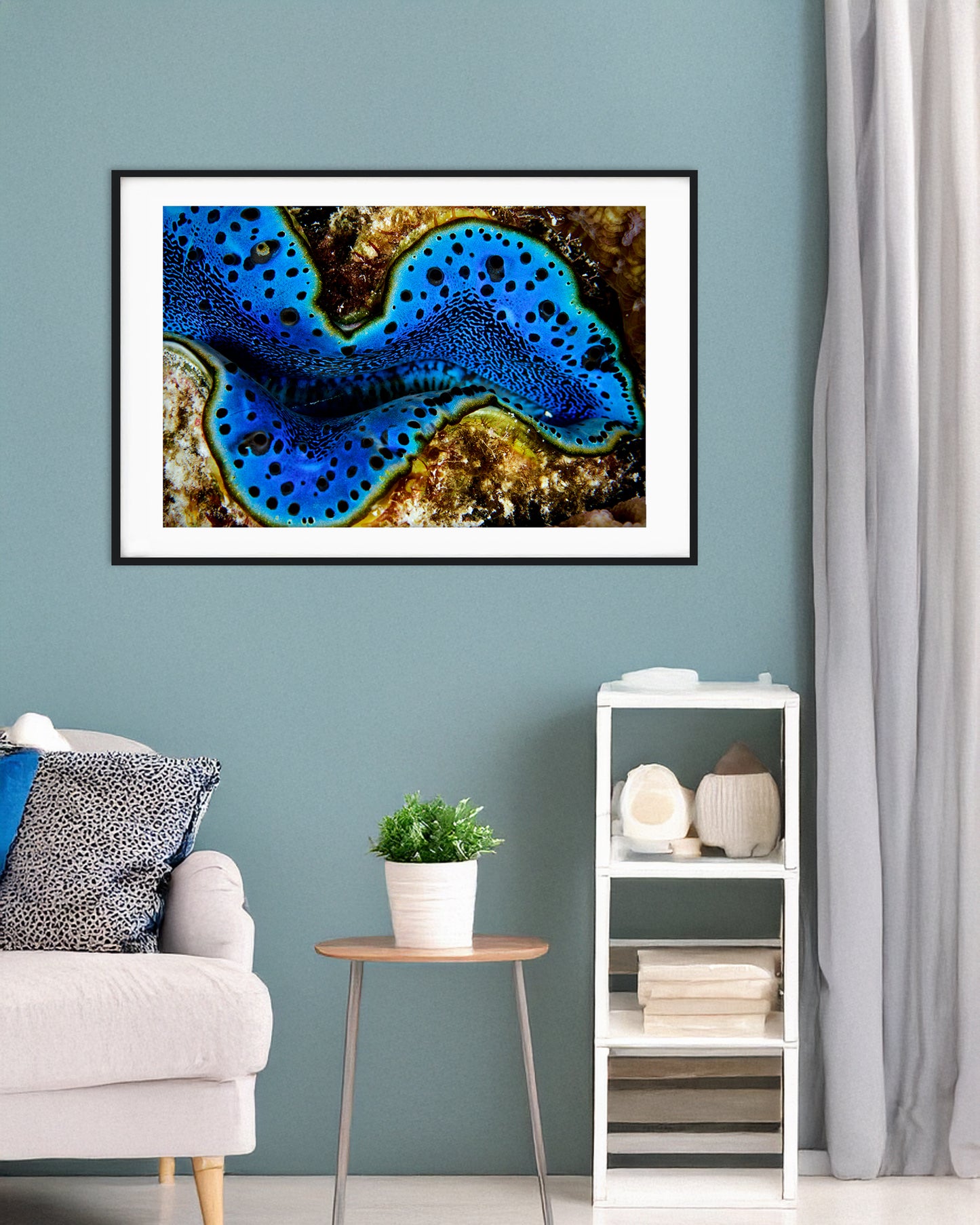 Giant Clam Landscape