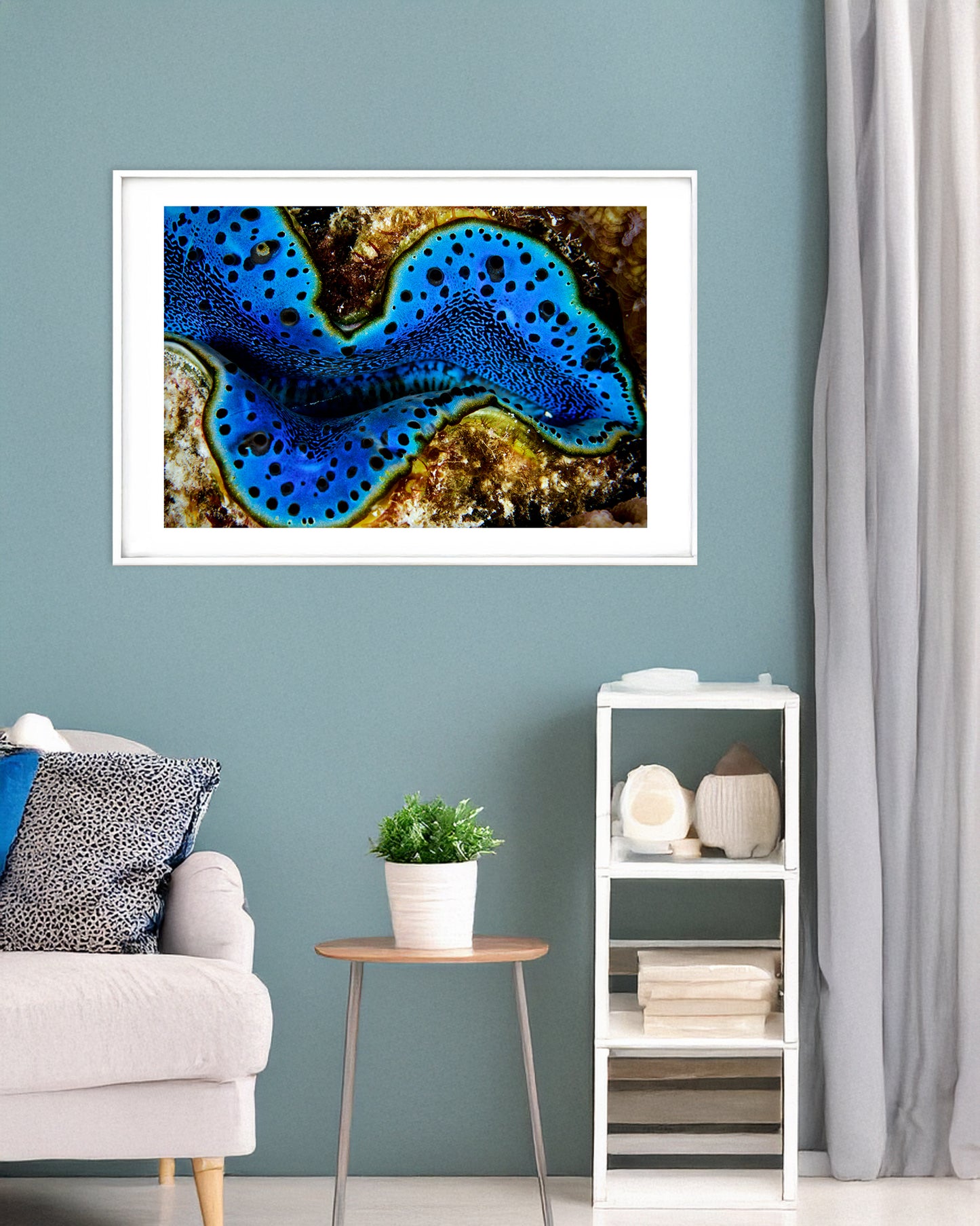 Giant Clam Landscape