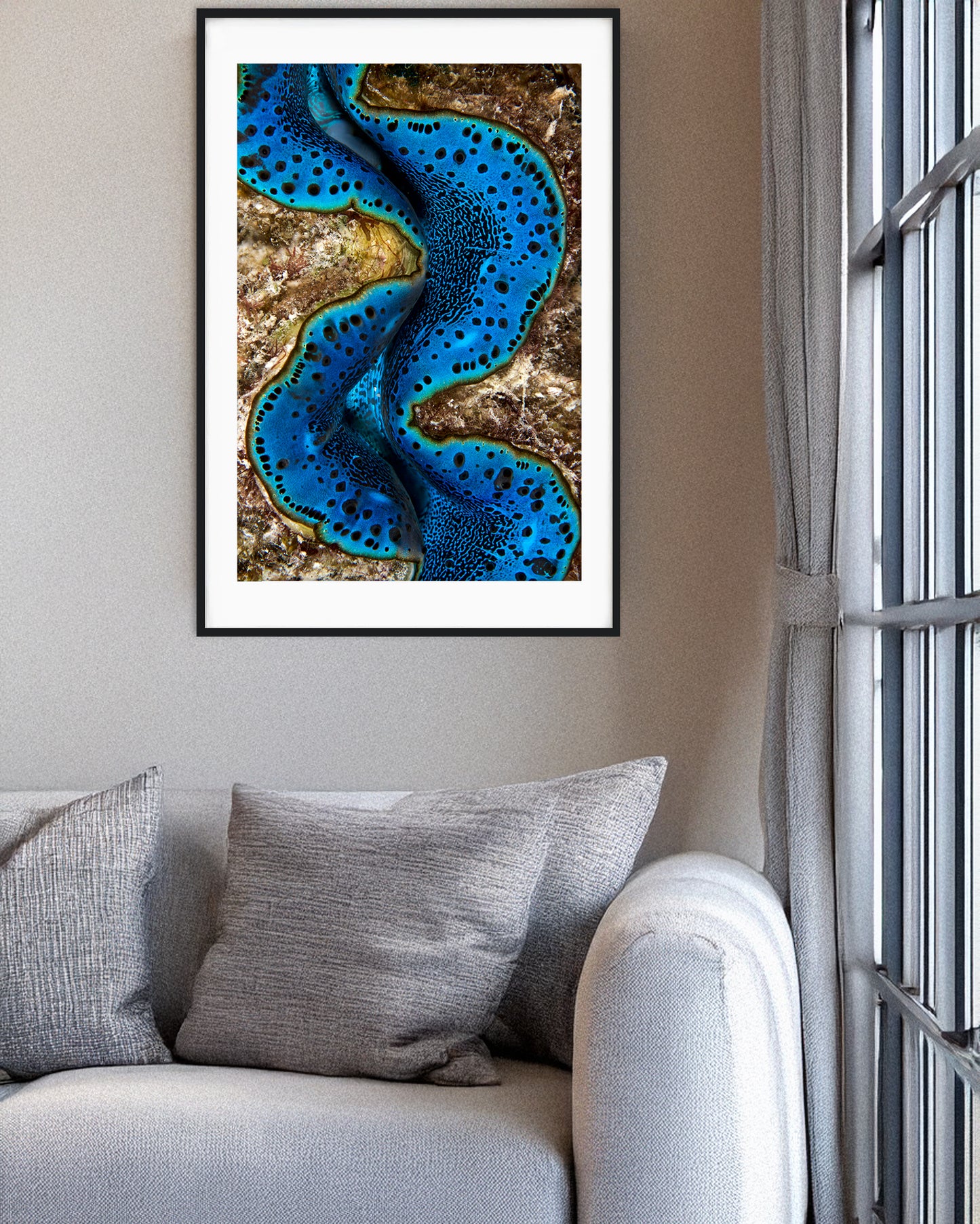 Giant Clam Portrait