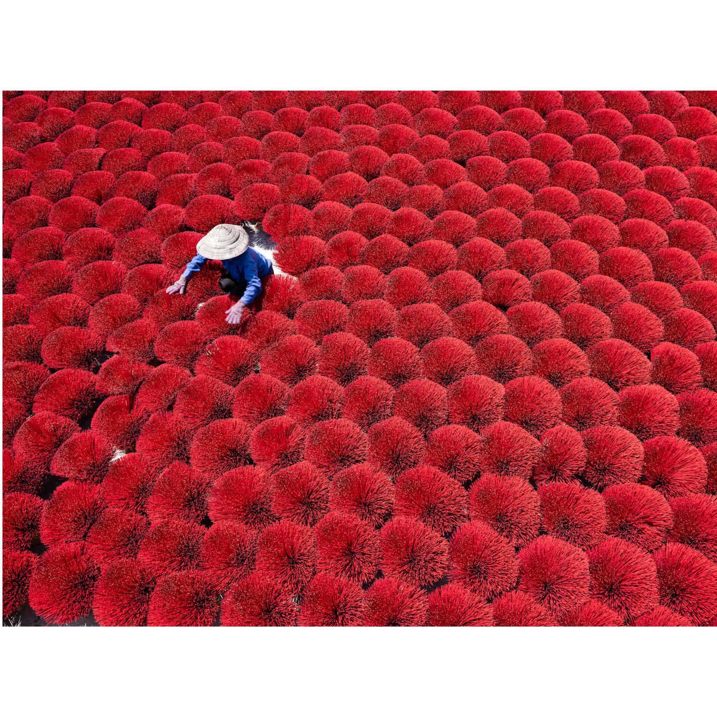 Quang Phu Cau Incense Village