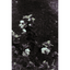 Dark Floral