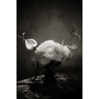 Floral Arrangement