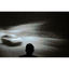 Projector Screen