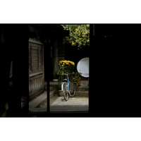 Bike in Vietnam