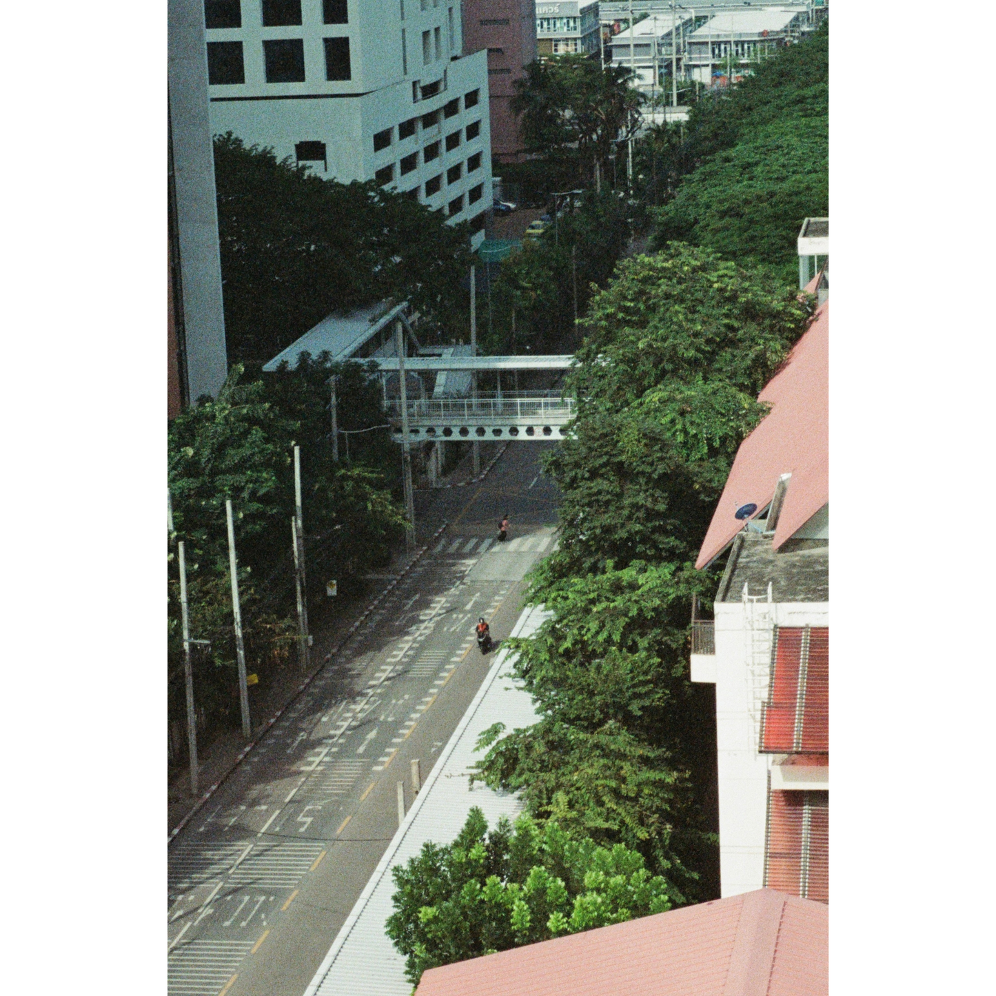 Lone Pedestrian