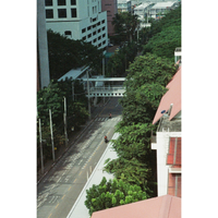 Lone Pedestrian