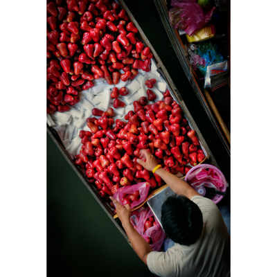 Vendor