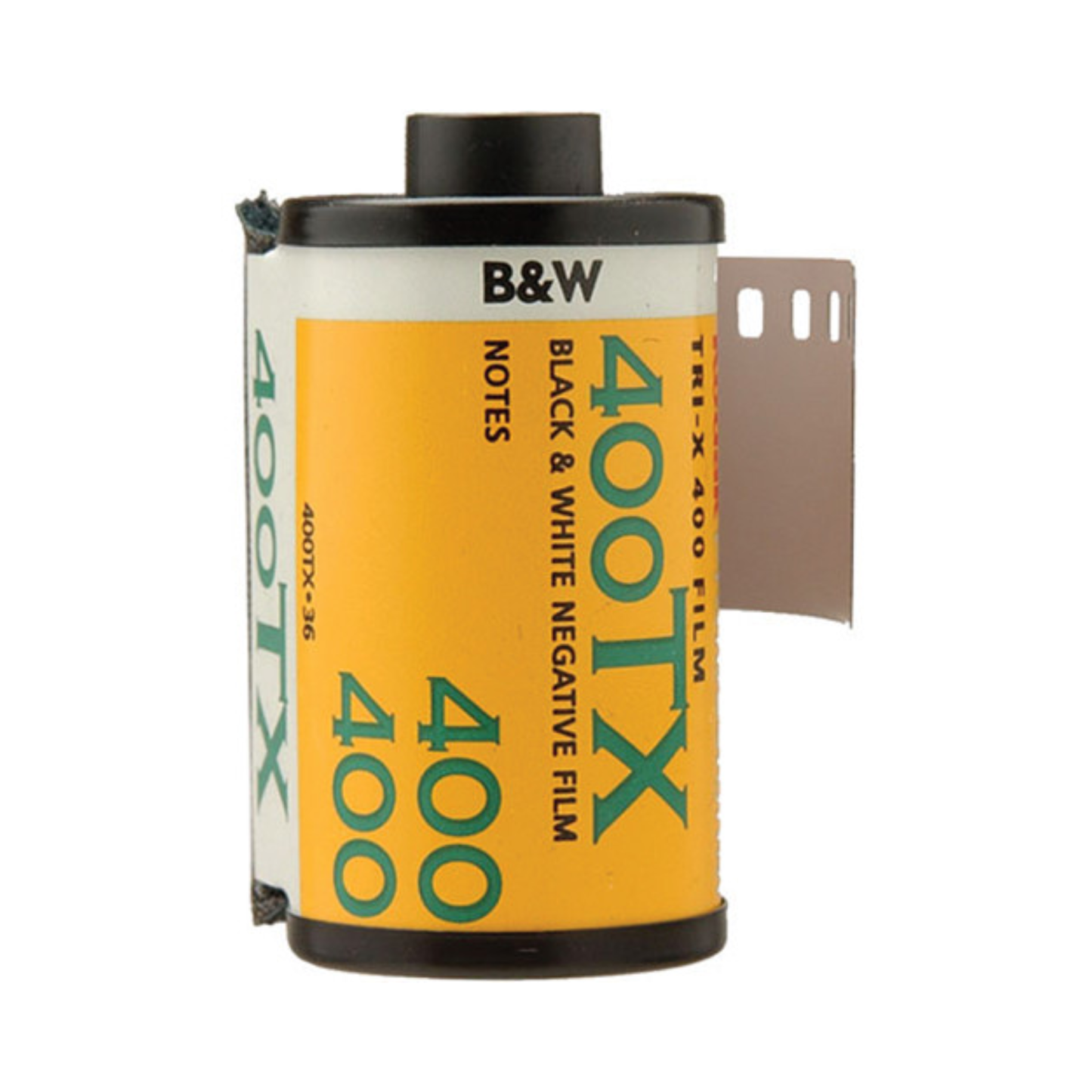 Kodak Professional Tri-X 400 Black and White Negative Film (35mm Roll Film, 36 Exposures)