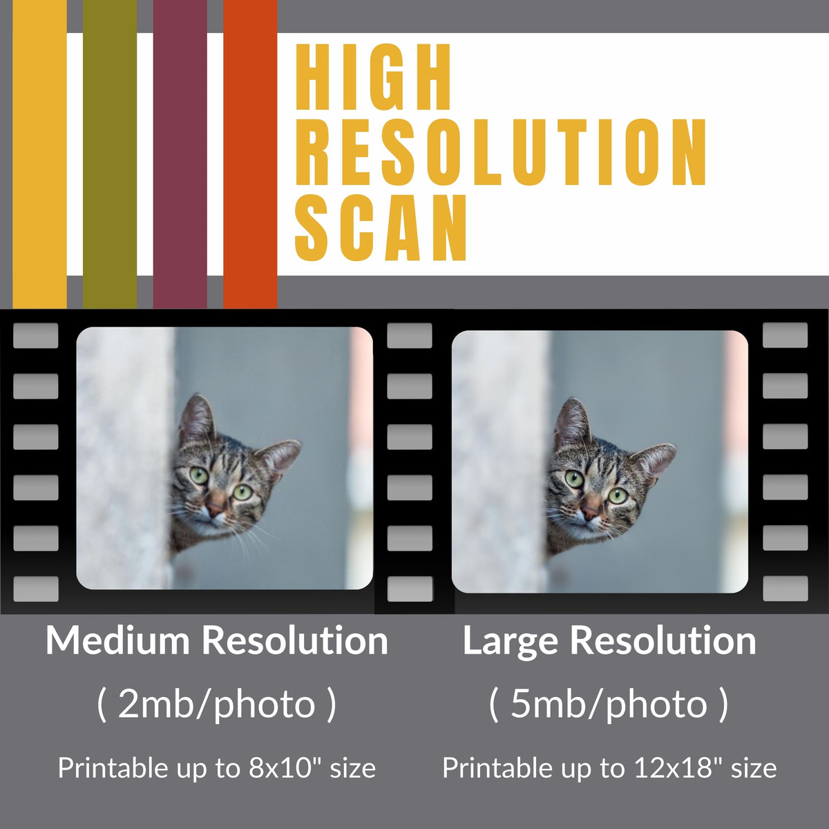 Film Scan Upgrade – GMW Trading Inc. (F8 Photo)