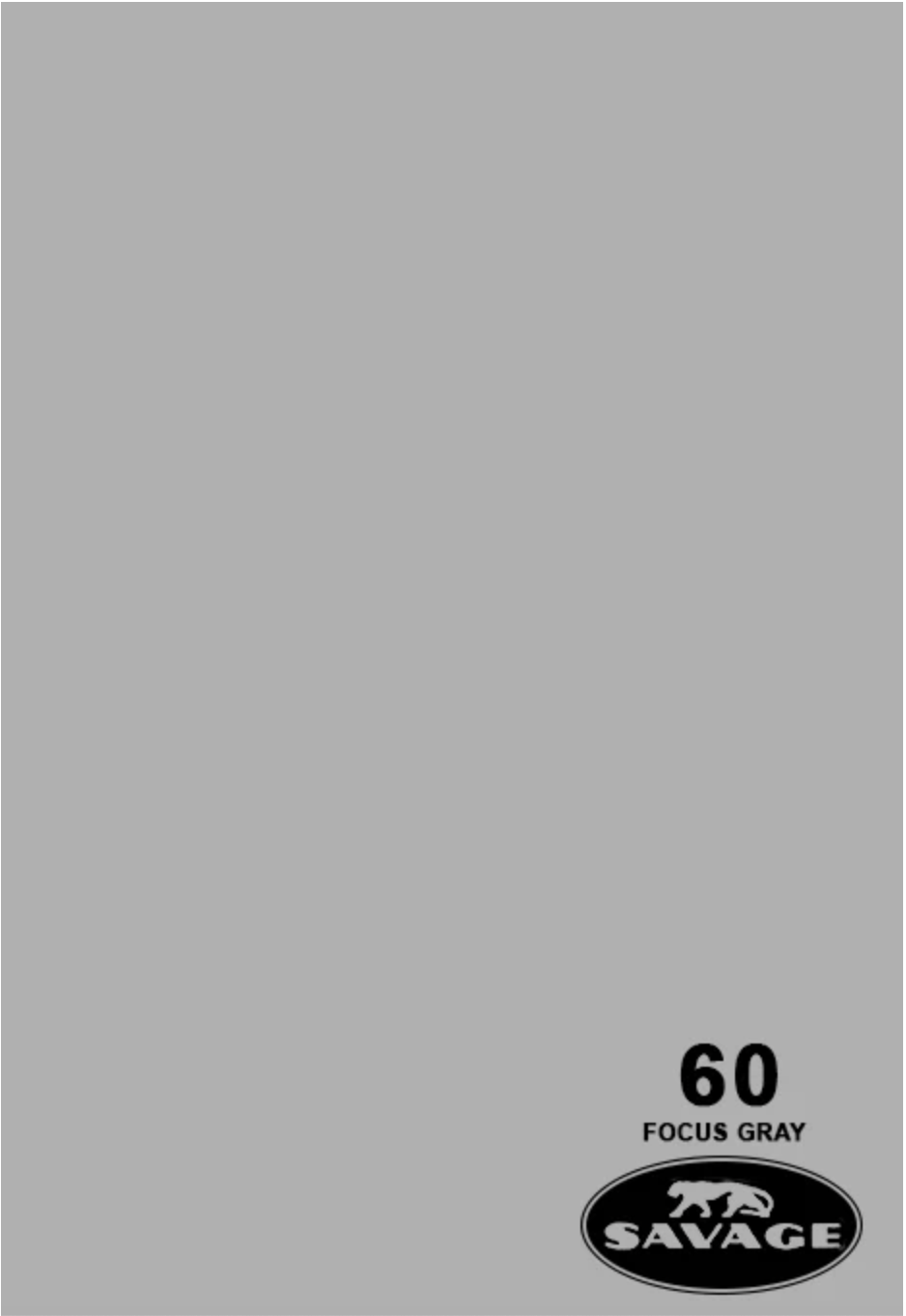 Savage Widestone Seamless Backdrop Paper 9x36ft (Focus Gray)