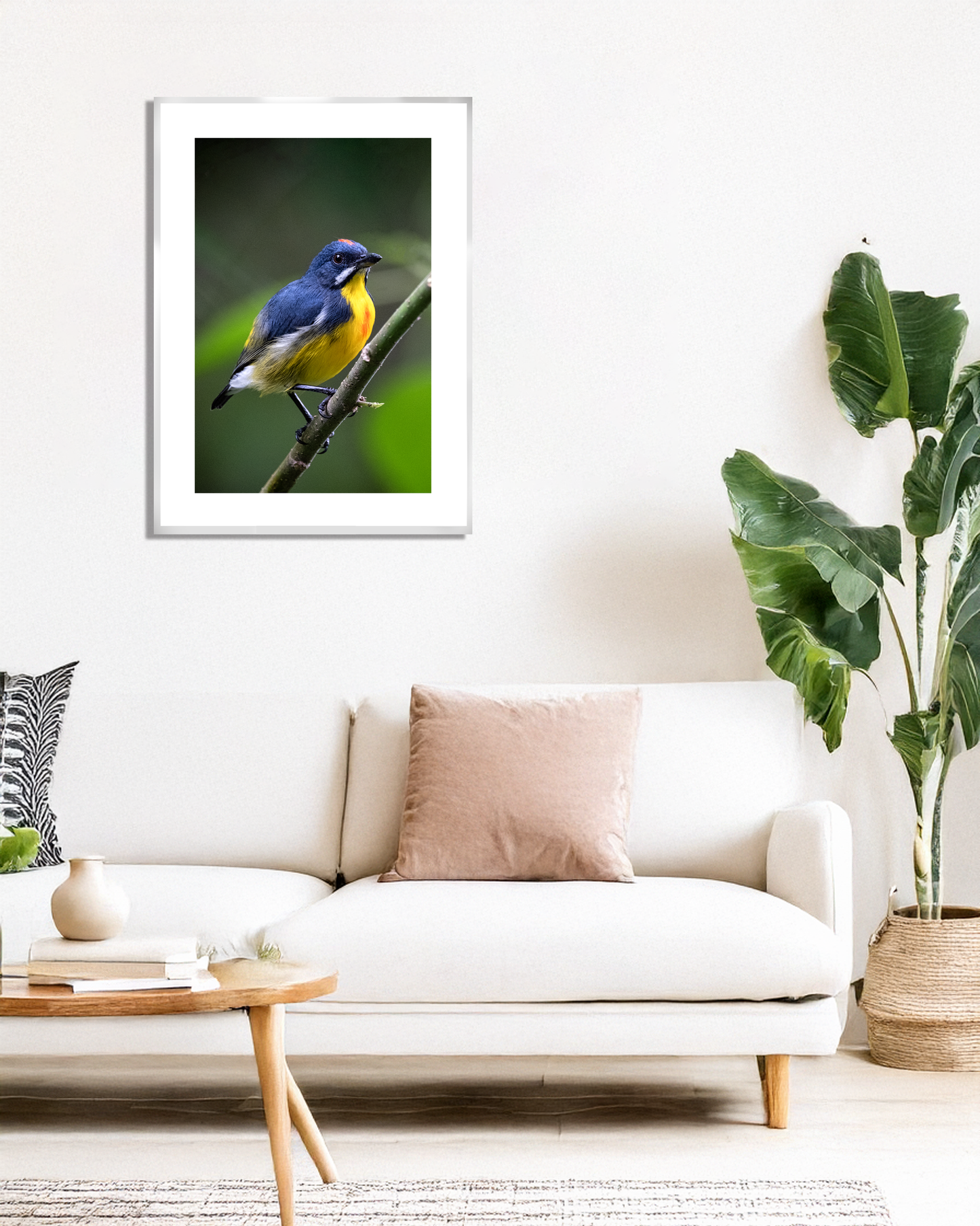 Palawan Flowerpecker